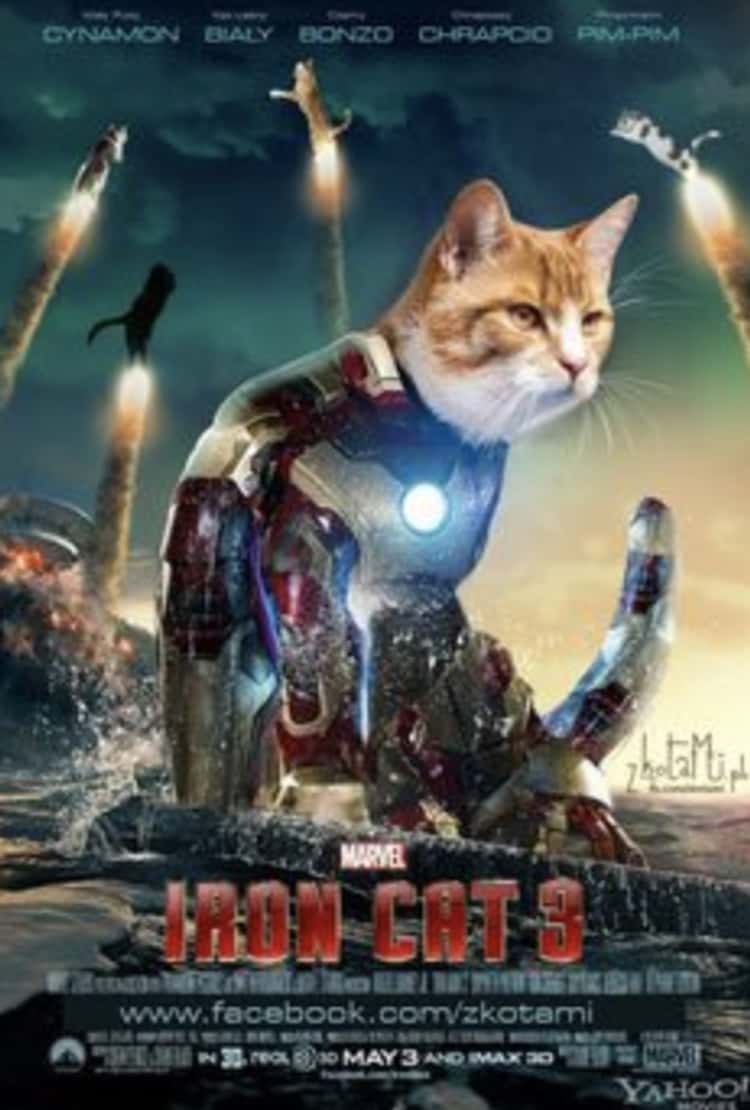 Movies Cat 3
